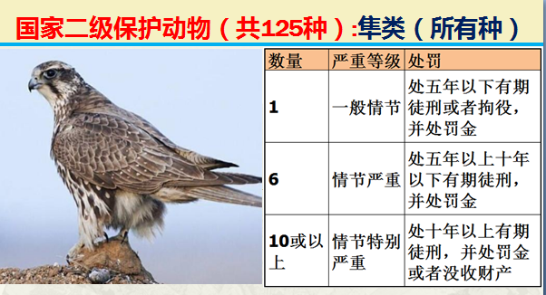 国家保护动物分几个等级（125类二级野生保护名录）