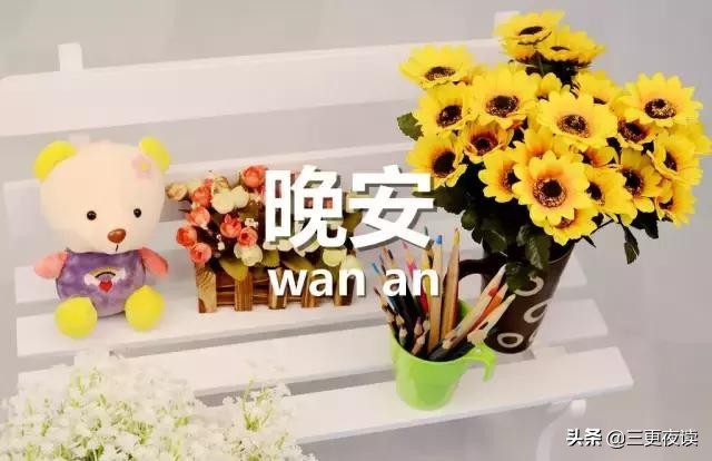 晚安心语：活得太认真，所以很痛苦
