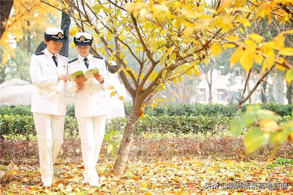 五所海军招生院校揭秘！想当海军军官的高考生看过来