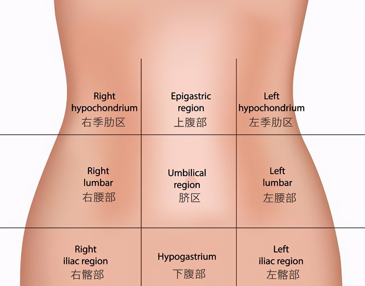 左侧腹部隐痛图片