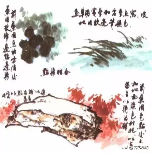 国画技法 | 写意花鸟画色彩技法详解之染色方法