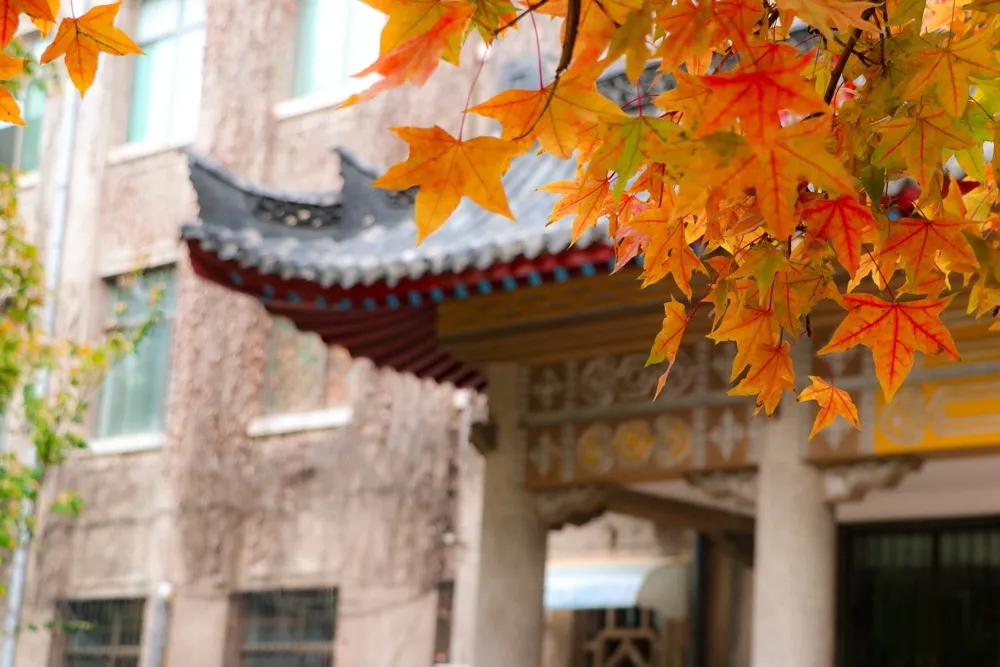 震撼!全国高校最美秋景大PK,哪所高校最最最惊艳?