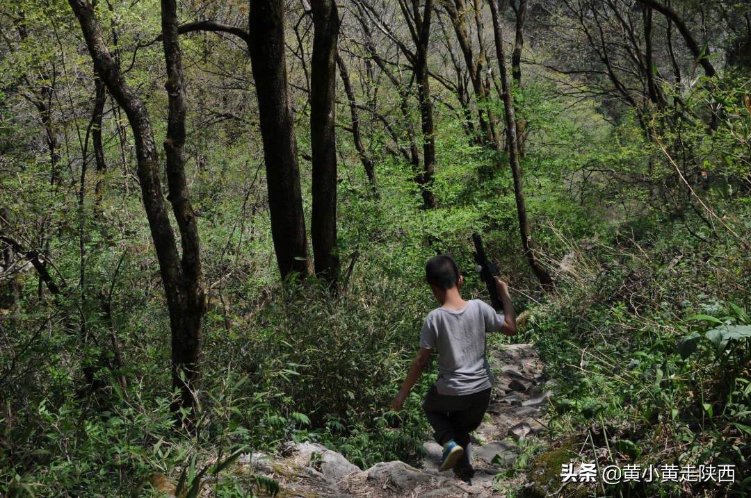 探秘东秦岭，原来从西安到商洛还有这样一条密道，一路都是风景