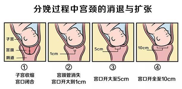 产房内，助产士常说的几句话，待产妈妈一定要听懂