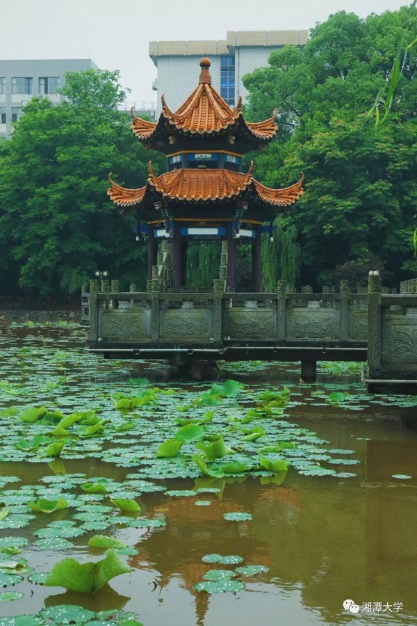 毛主席亲笔题名，走出两院院士、银行行长、大学校长，湖南这所大学“太牛了”