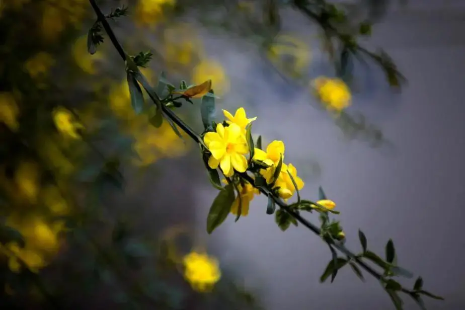 国家级一流！厉害了我的云南农大