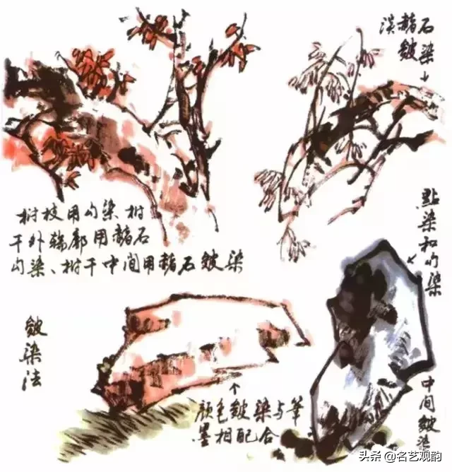 国画技法 | 写意花鸟画色彩技法详解之染色方法