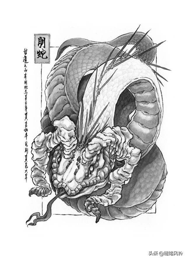 山海經神獸(山海經神獸大全排名)