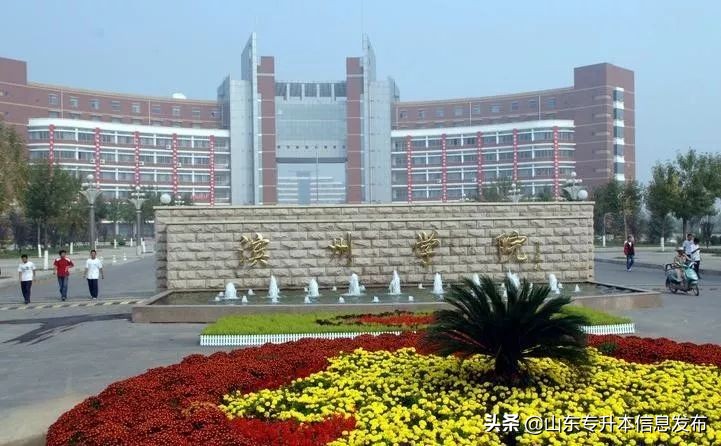 山东专升本各专业对应招考院校分析---计算机科学与技术