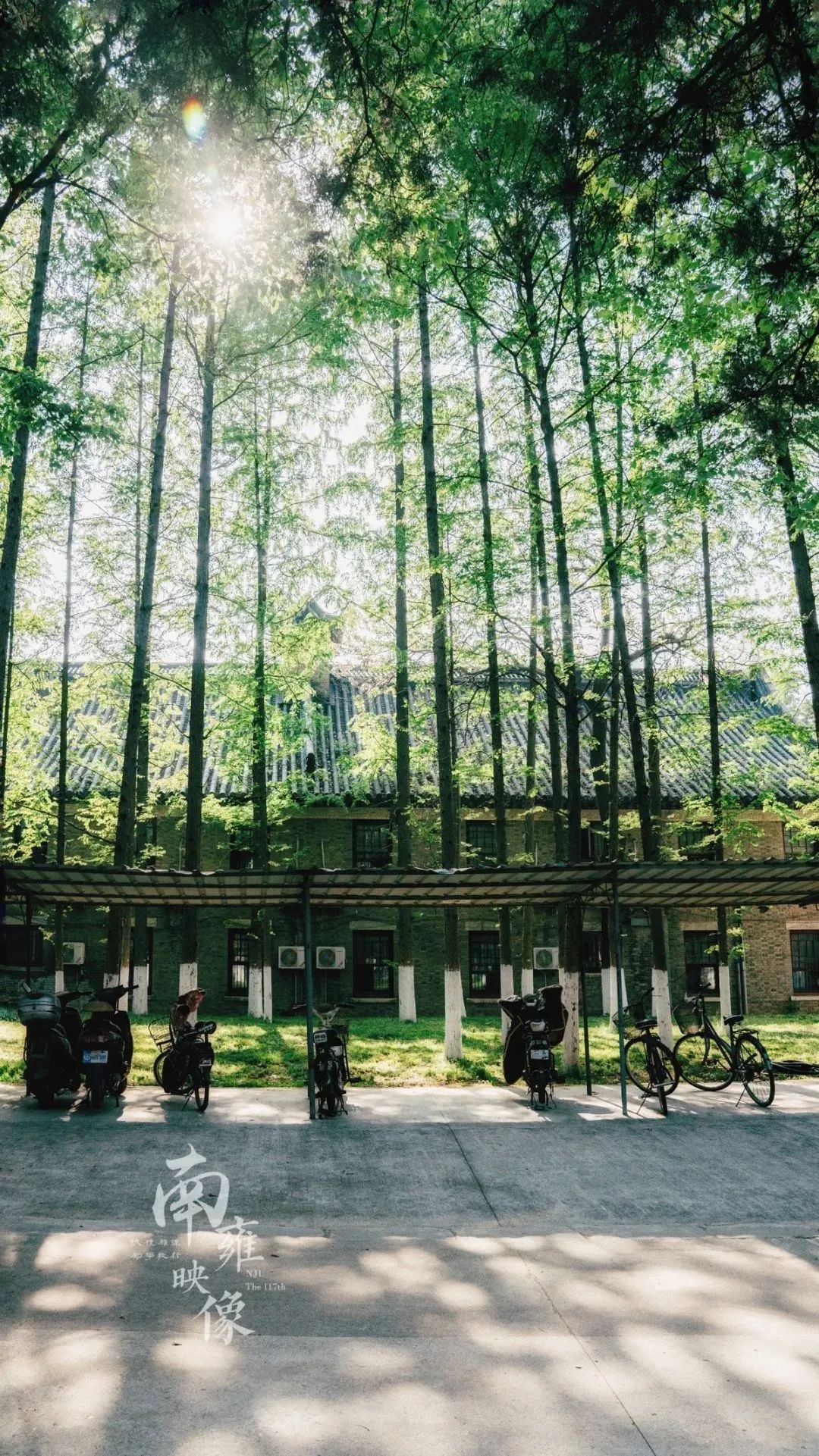 你的理想大学，终于被做成了手机壁纸