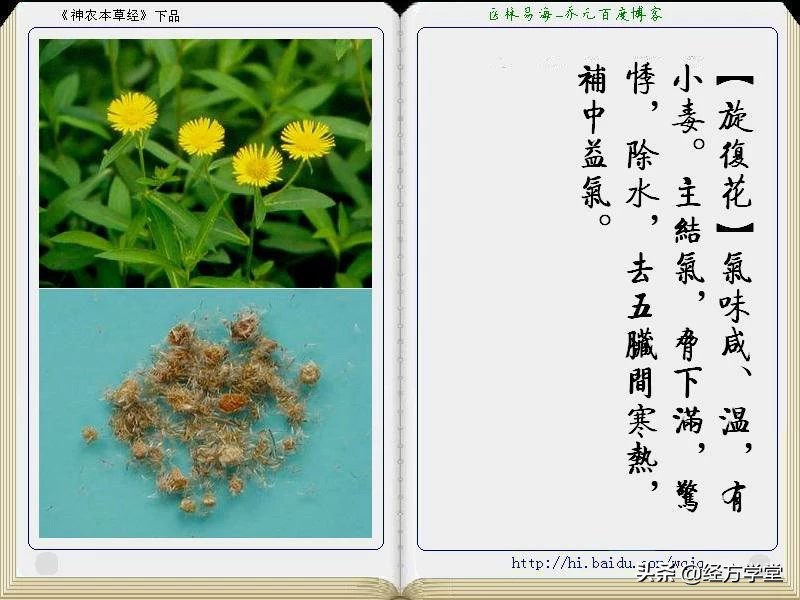 《神农本草经》全册图文解析 建议收藏