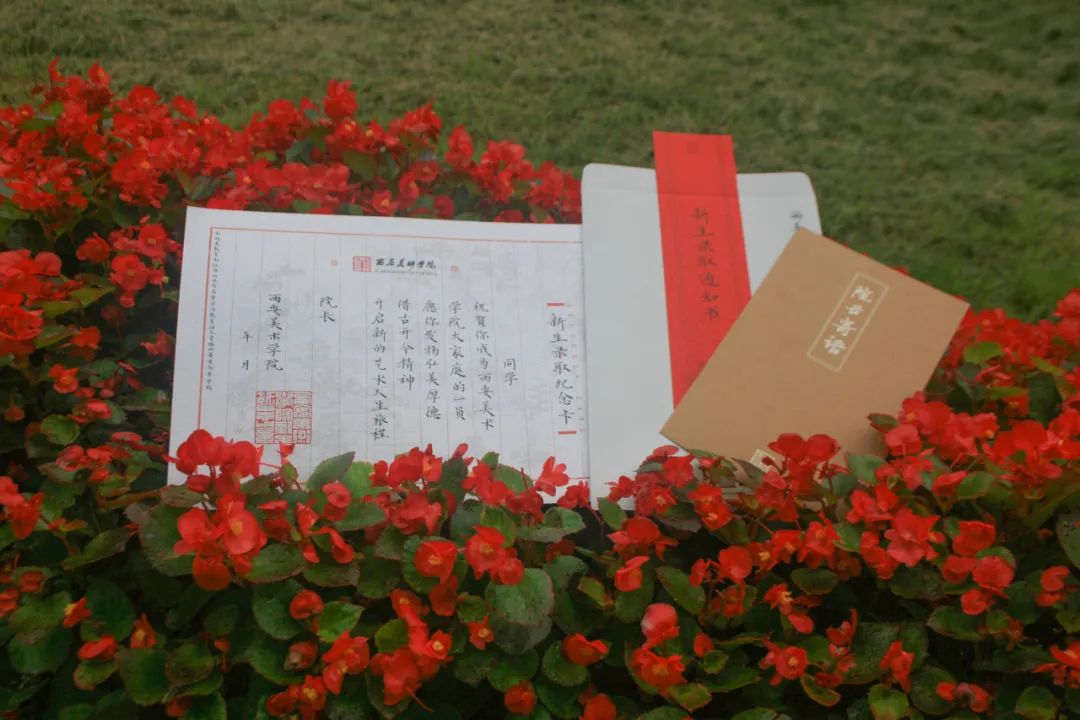 「美术宝艺考」酸了！美院的学习体验也太可了吧