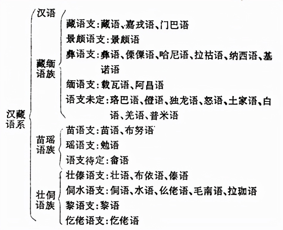 汉藏语系中除了汉语族和藏缅语族之外还有苗瑶,壮侗两大语族:属于苗瑶