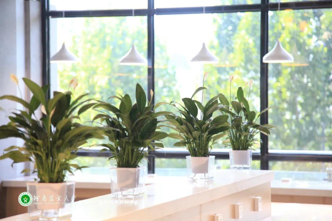 美美美，14000㎡等你发现，农大餐厅焕新啦