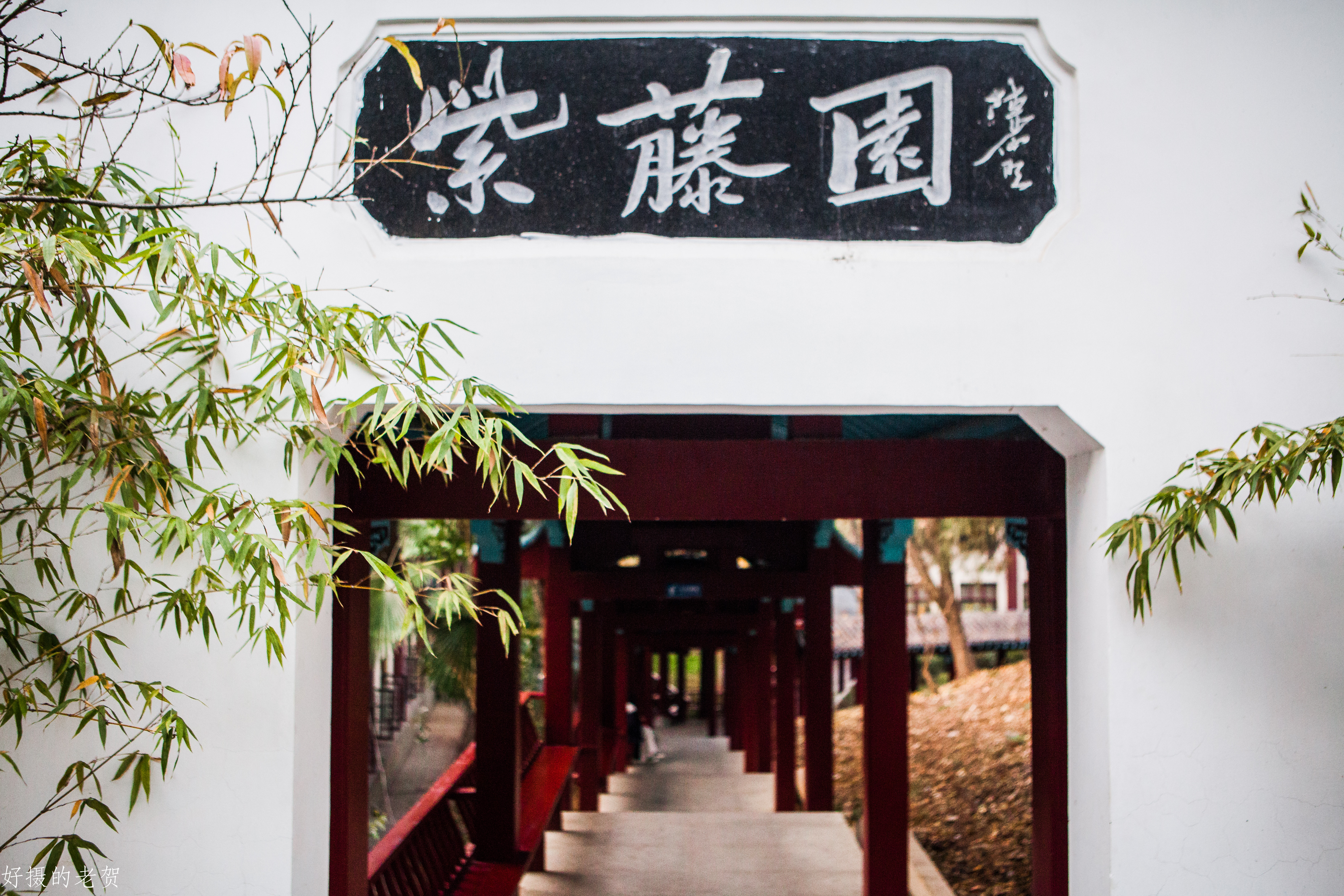 南京师大，曾是中国第一座女子大学，大文豪袁枚的随园所在地