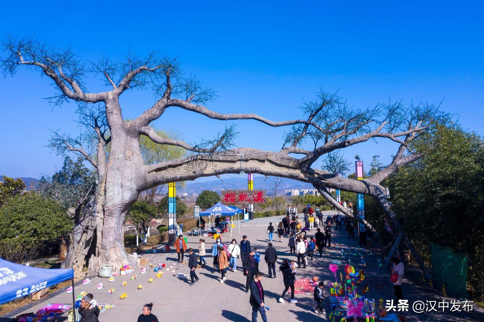 西乡樱桃沟 西乡县樱桃沟景区效果图-徐拾记官网