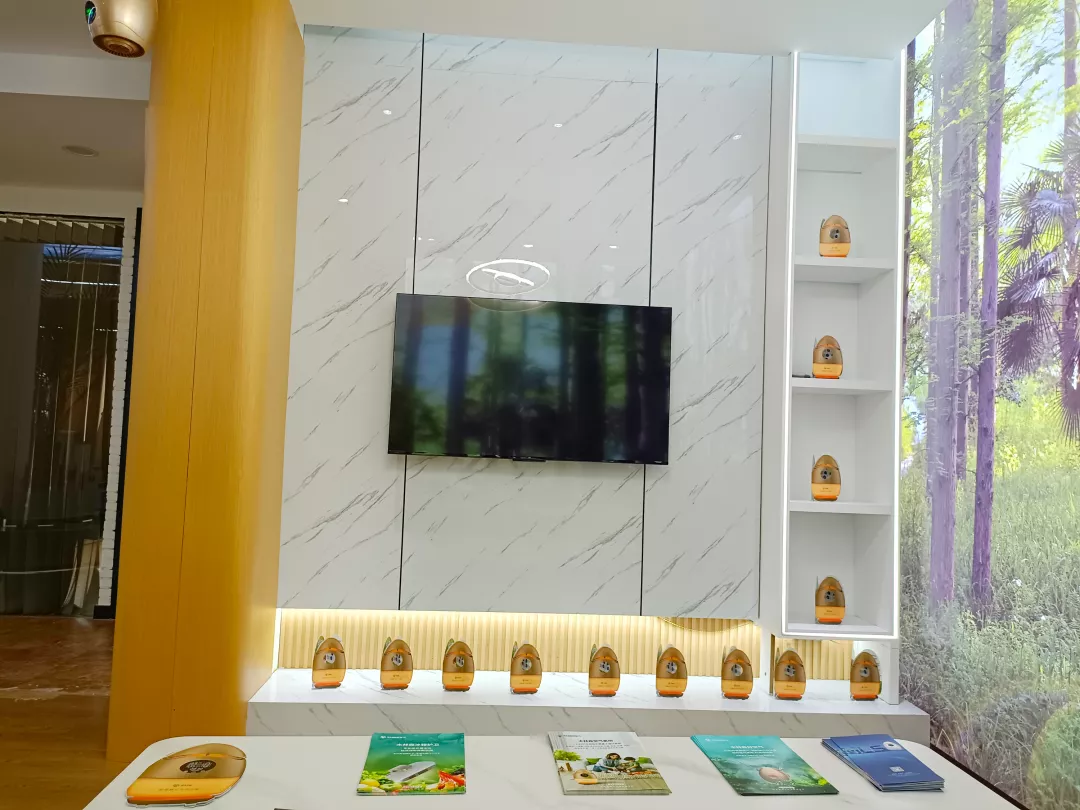 温州运营中心开业啦!MLS木林森健康“千城万店”再下一城