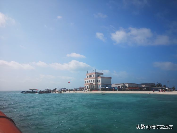 西沙~南海中的一片莲