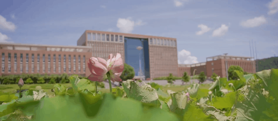 珠海科技学院2021年31个省市招本科生7060人 新增4个招生专业