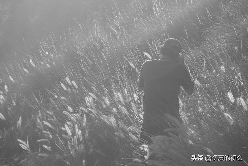 关于卑微爱情的句子 | 谢谢你让我把自作多情演得淋漓尽致