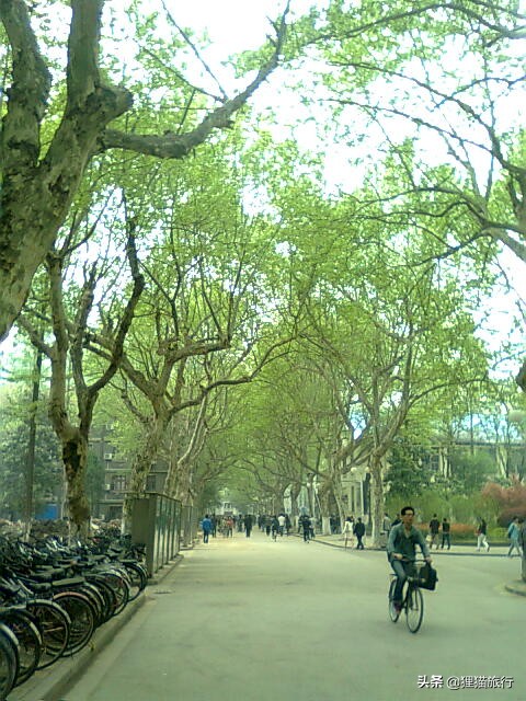 百年名校南京大学一日游，八年前的老照片带你回忆南大