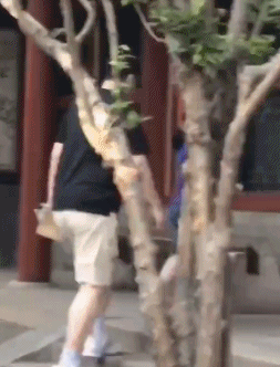 姚明女兒在哪里學籃球（姚明攜女在野球場出現！女兒才10歲就上場練手啊？）