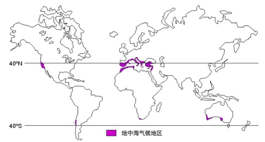 地中海气候形成原因图片