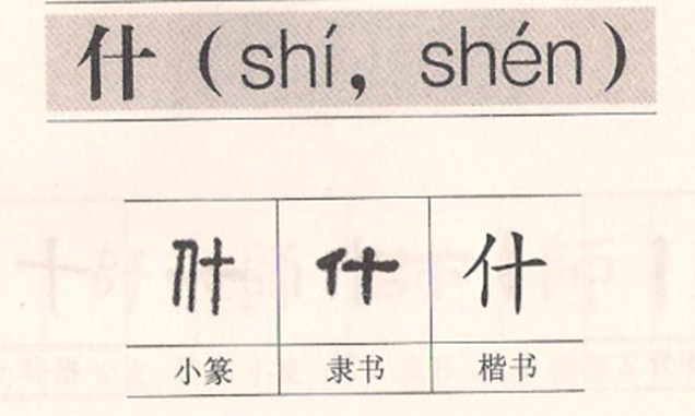 小学语文一年下册《姓氏歌》知识积累干货、能力扩展训练