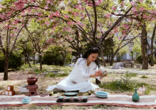 优秀！北京这所高校：走出外交部发言人、联合国发言人，直属教育部！