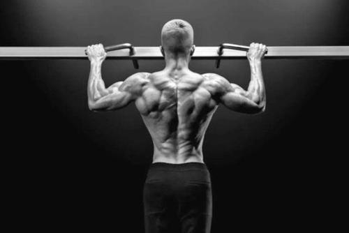 一套胸背超级组训练，6个动作让身体更强壮、增肌速度倍增