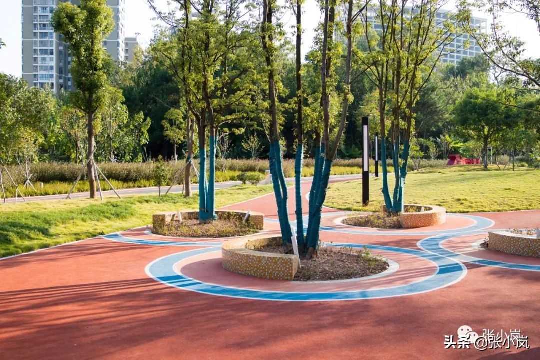 藏在韶关市中心森林里的儿童公园，大部分人都不知道，光速安排