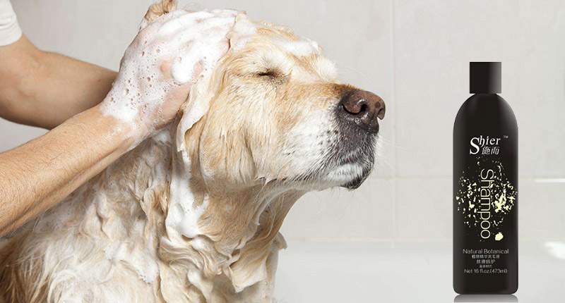 狗狗洗毛液哪一种比较好？适合才是最好的