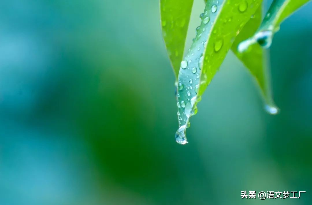 十首写夏雨的诗词，给你带来夏日的凉爽，更带来别样的美丽