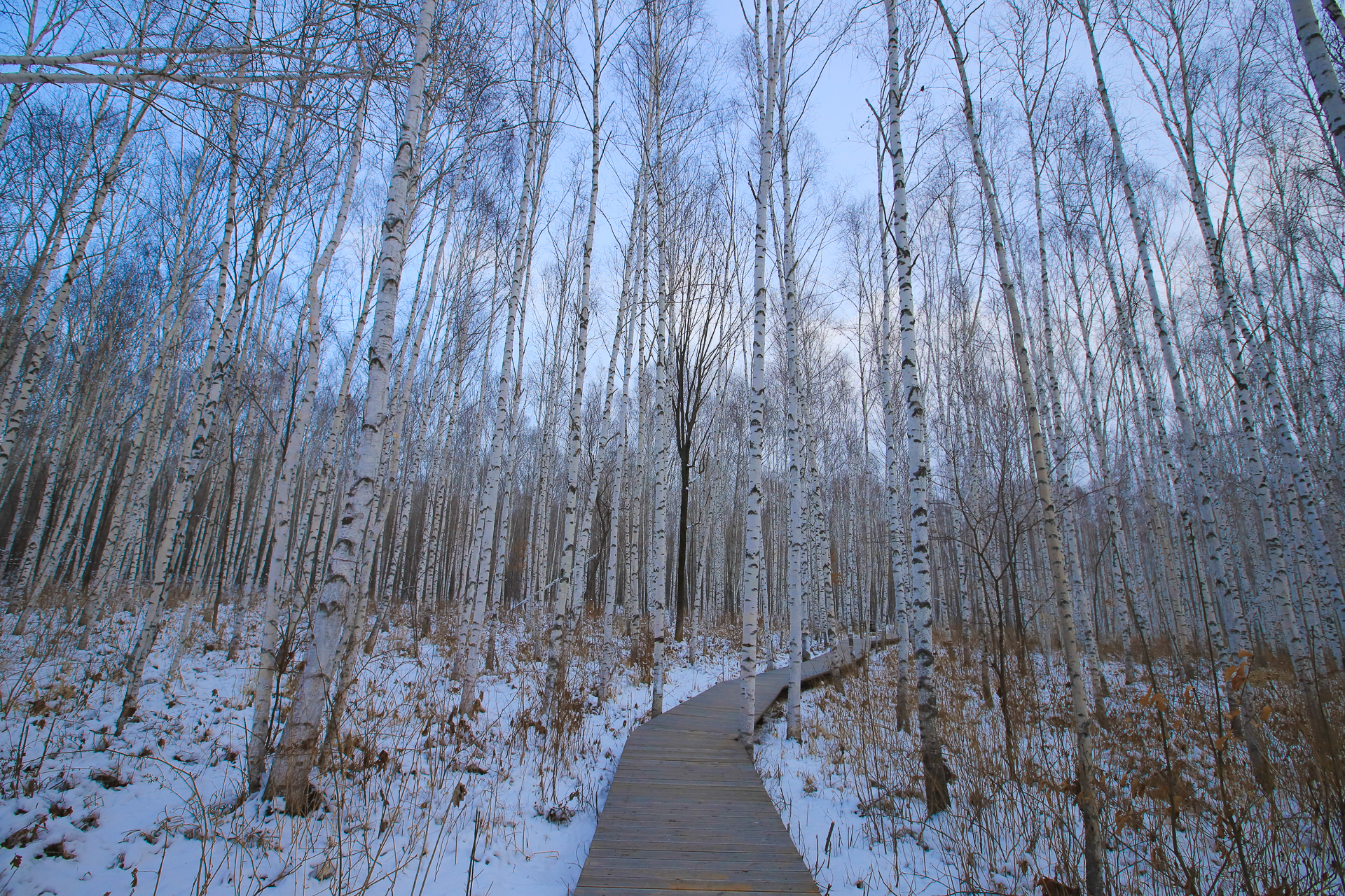 冬天去长白山,怎么玩,住哪里,请收下这份超详细攻略