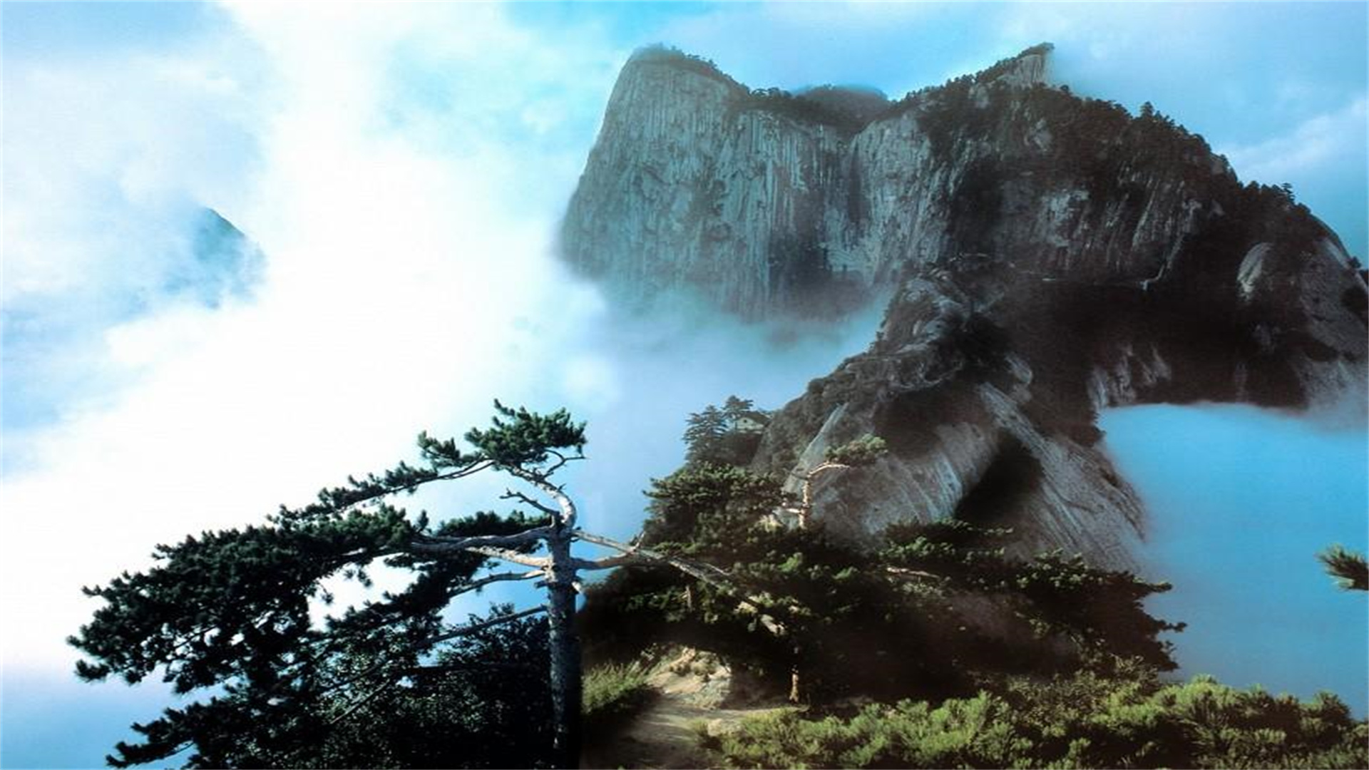 陕西高考状元（陕西10名学霸已拿到）