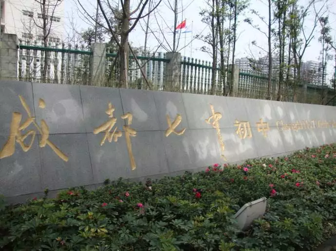 热门！2020年成都小升初最值得推荐的45所学校