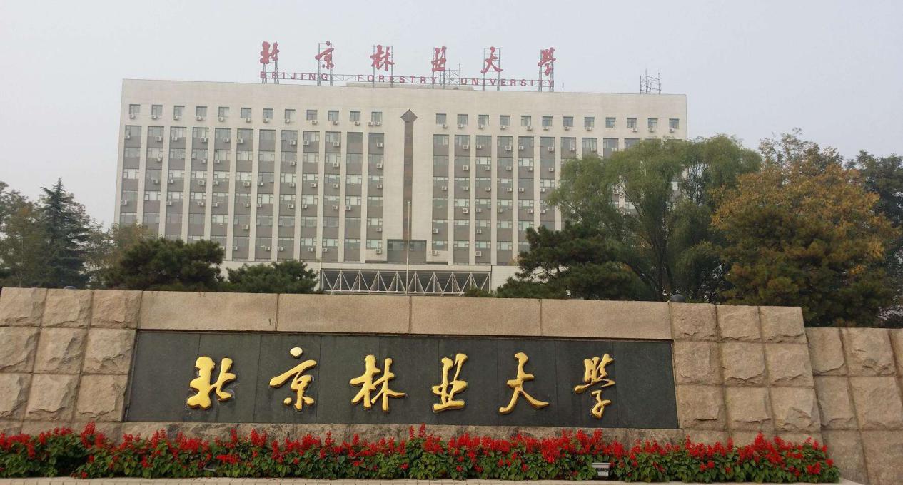不容错过的林业大学：两所211三所省部共建，就业发展前景乐观！