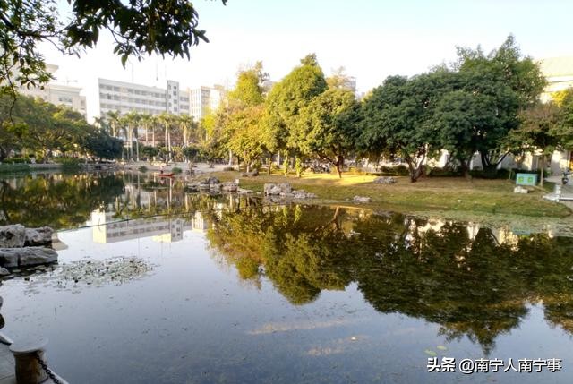 入学靠摇号，学校无法再挑优质生源，南宁民办初中名校还吃香吗？