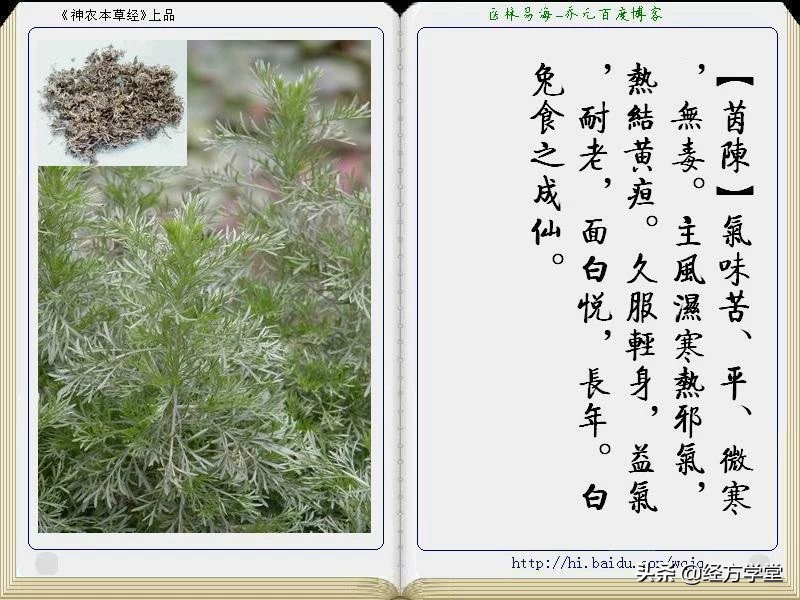 《神农本草经》全册图文解析 建议收藏