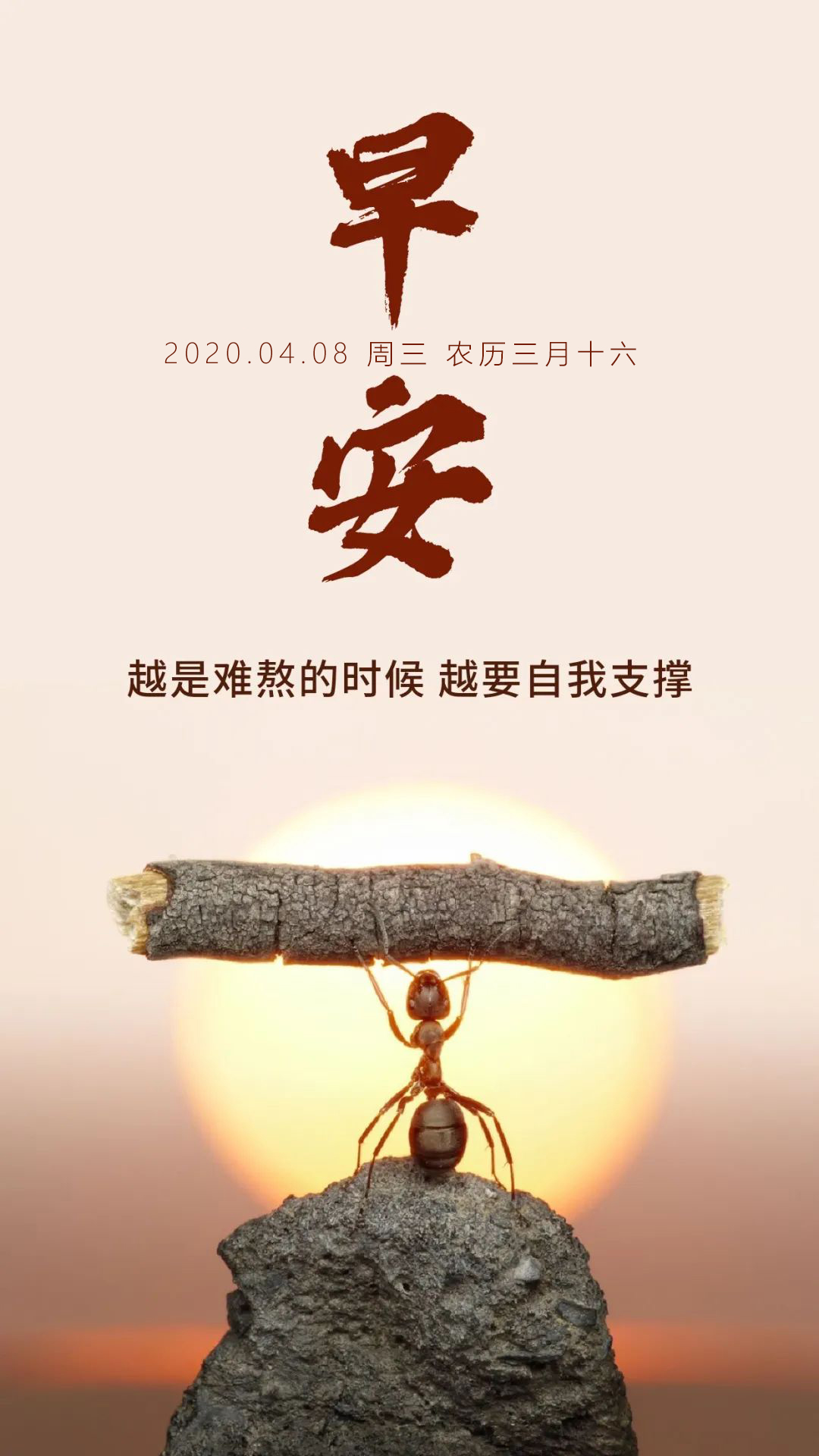 星期三早安正能量励志图片日签语录：追赶时间的人，时间将给予他更多