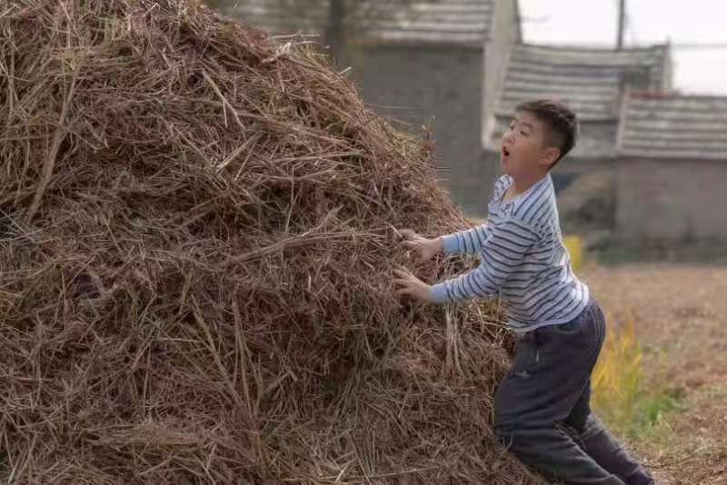 谢谢你对我倾其所有的好是什么歌（谢谢你对我倾其所有的好是什么歌词）-第2张图片-科灵网