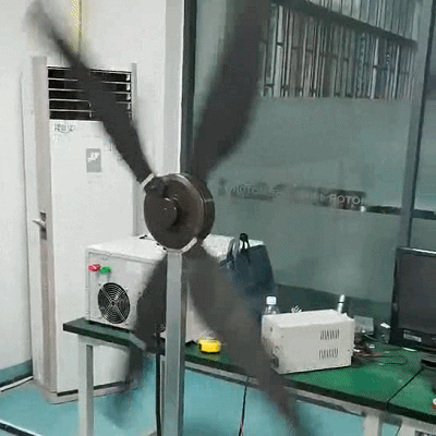 成功实现的正反旋转轴向磁通电机