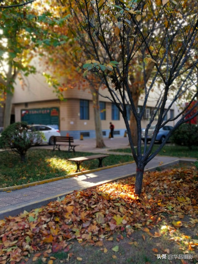 临汾学院：梦幻校园如诗醉人