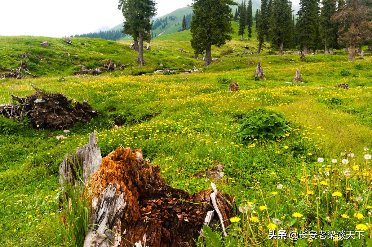 新疆景区景点大全