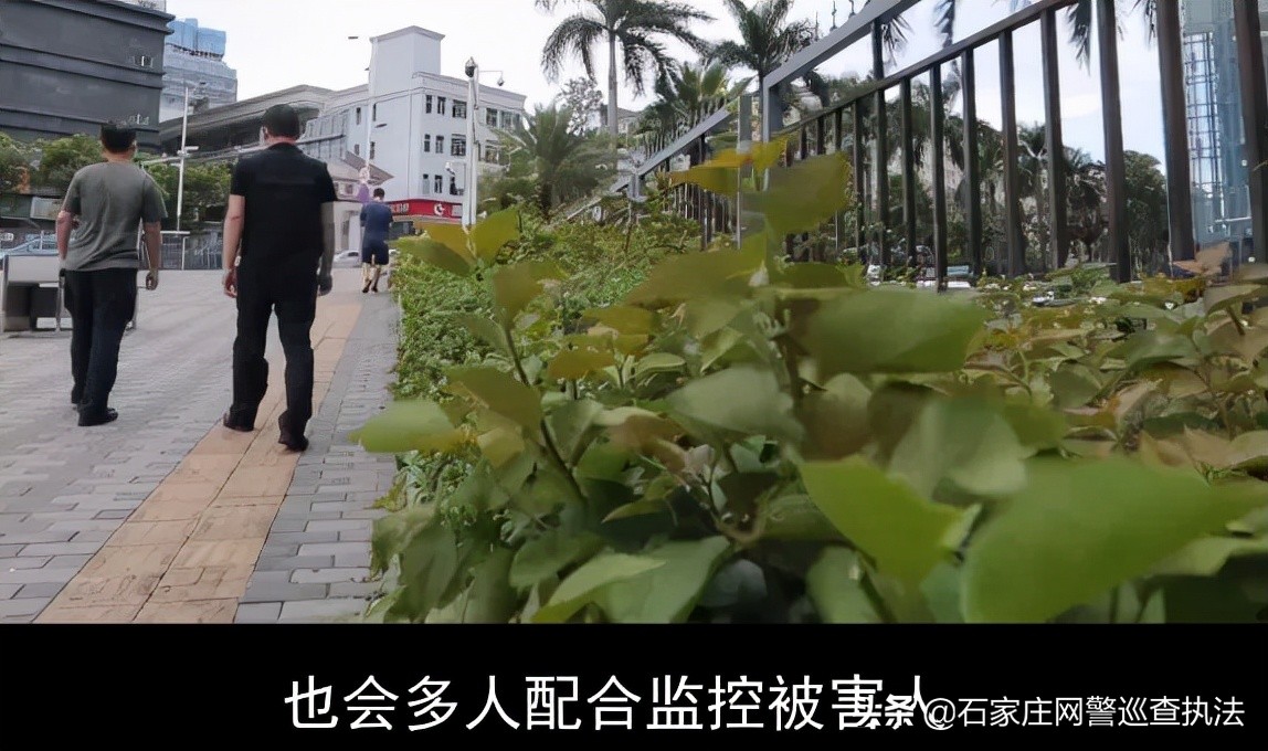 私家侦探合法吗,国内私家侦探合法吗