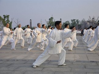 太极拳健骨机理