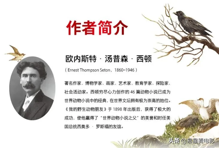 作为著名的动物小说作家,欧内斯特·汤普森·西顿(ernest thompson