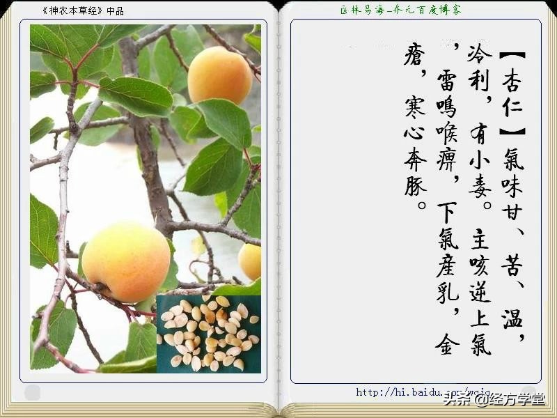 《神农本草经》全册图文解析 建议收藏