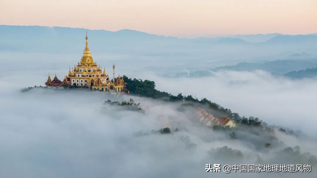 “人间秘境”，“神话之乡”，云南的“孔雀尾”开屏有多美？