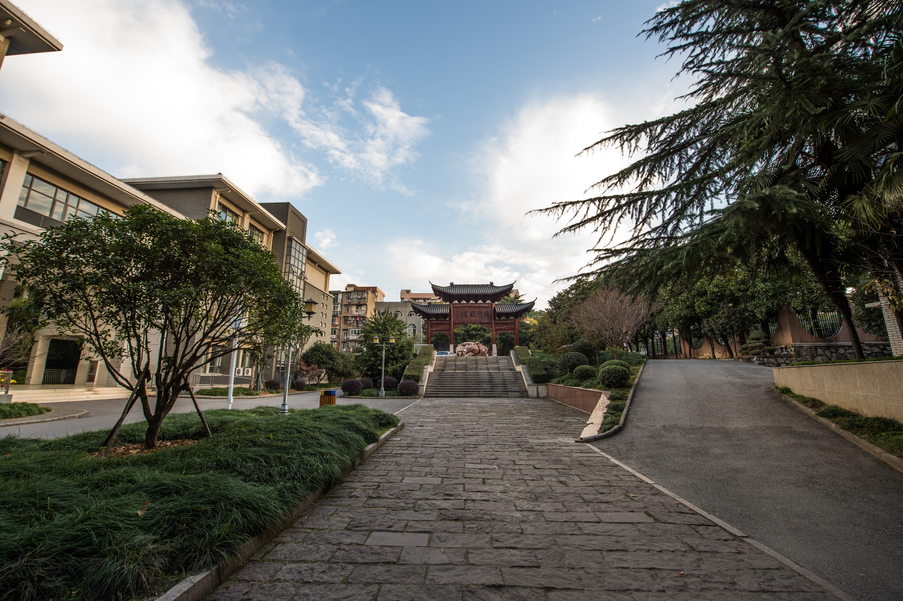 武汉两所名高，2020高考成绩，武昌实验中学与华师一附中难分伯仲